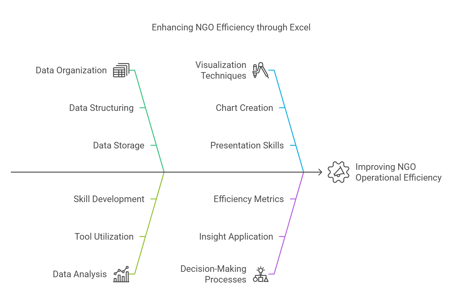 Data Management and Analysis Visualization with Excel for NGO