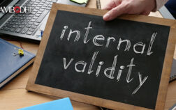 Internal Validity in Impact Evaluation: Overview, Importance, and Ways for Improvement