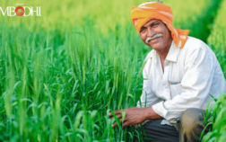 Revisiting Indian Agriculture using a Policy Lens