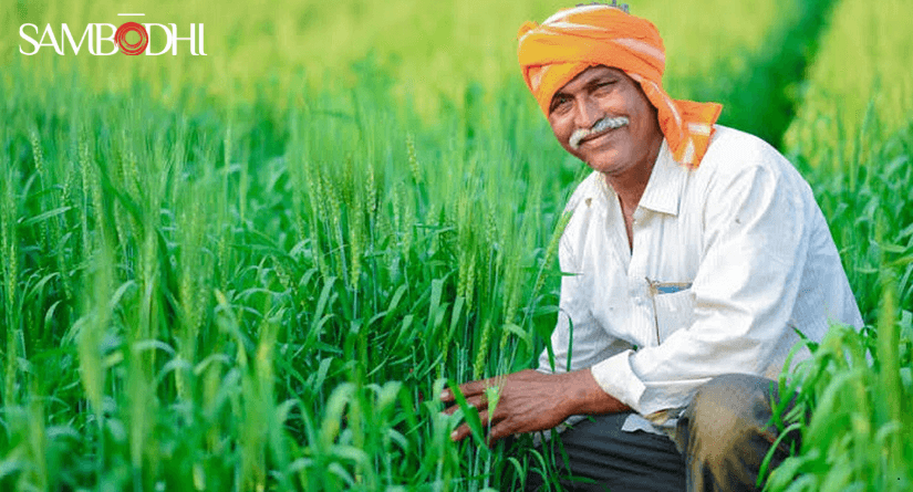 Revisiting Indian Agriculture using a Policy Lens