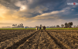 Budget towards achieving sustainable and climate-resilient agriculture in India
