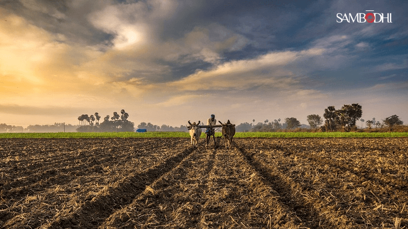 Budget towards achieving sustainable and climate-resilient agriculture in India