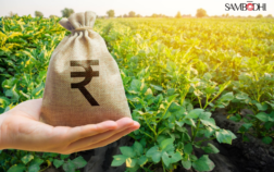 Analysis of FY24 Agricultural Budget: Advancements and Shortcomings