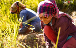 Women Bridging the Gender Gap in Agriculture