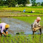 Advances in GIS Applications for Robust Evidence in Climate-Resilient Agricultural Practices