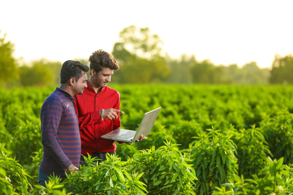 eNAM and the Digital Marketplace: Rewiring Agricultural Mandis for the 21st Century