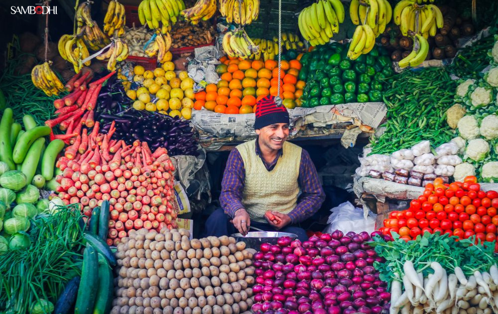 Beyond Food Availability: Understanding Household Choices and Nutrition Outcomes in India