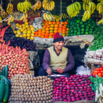 Beyond Food Availability: Understanding Household Choices and Nutrition Outcomes in India