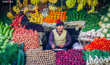 Beyond Food Availability: Understanding Household Choices and Nutrition Outcomes in India