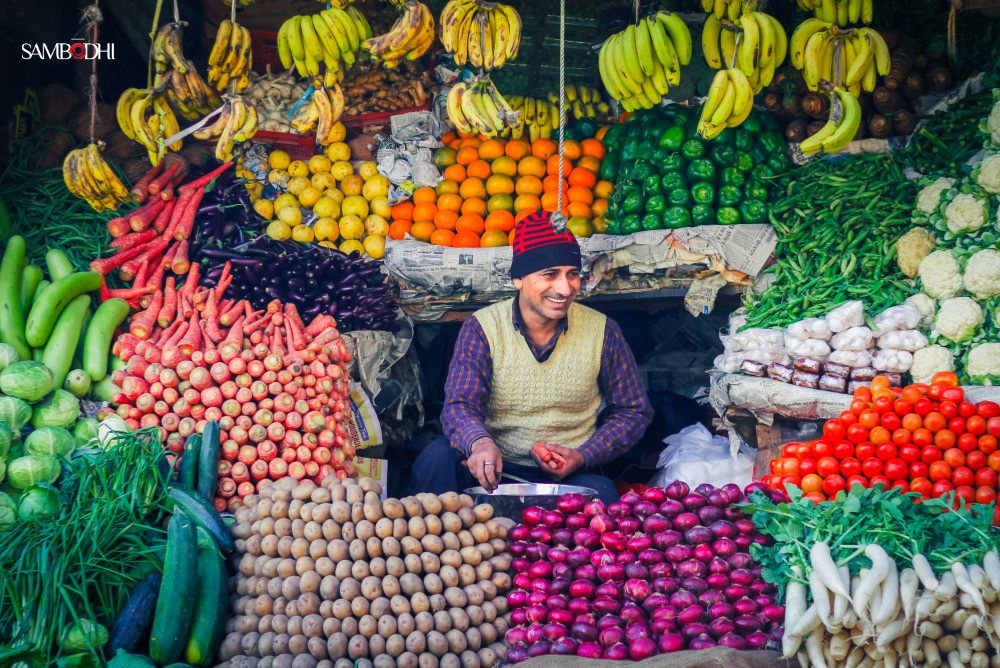 Beyond Food Availability: Understanding Household Choices and Nutrition Outcomes in India