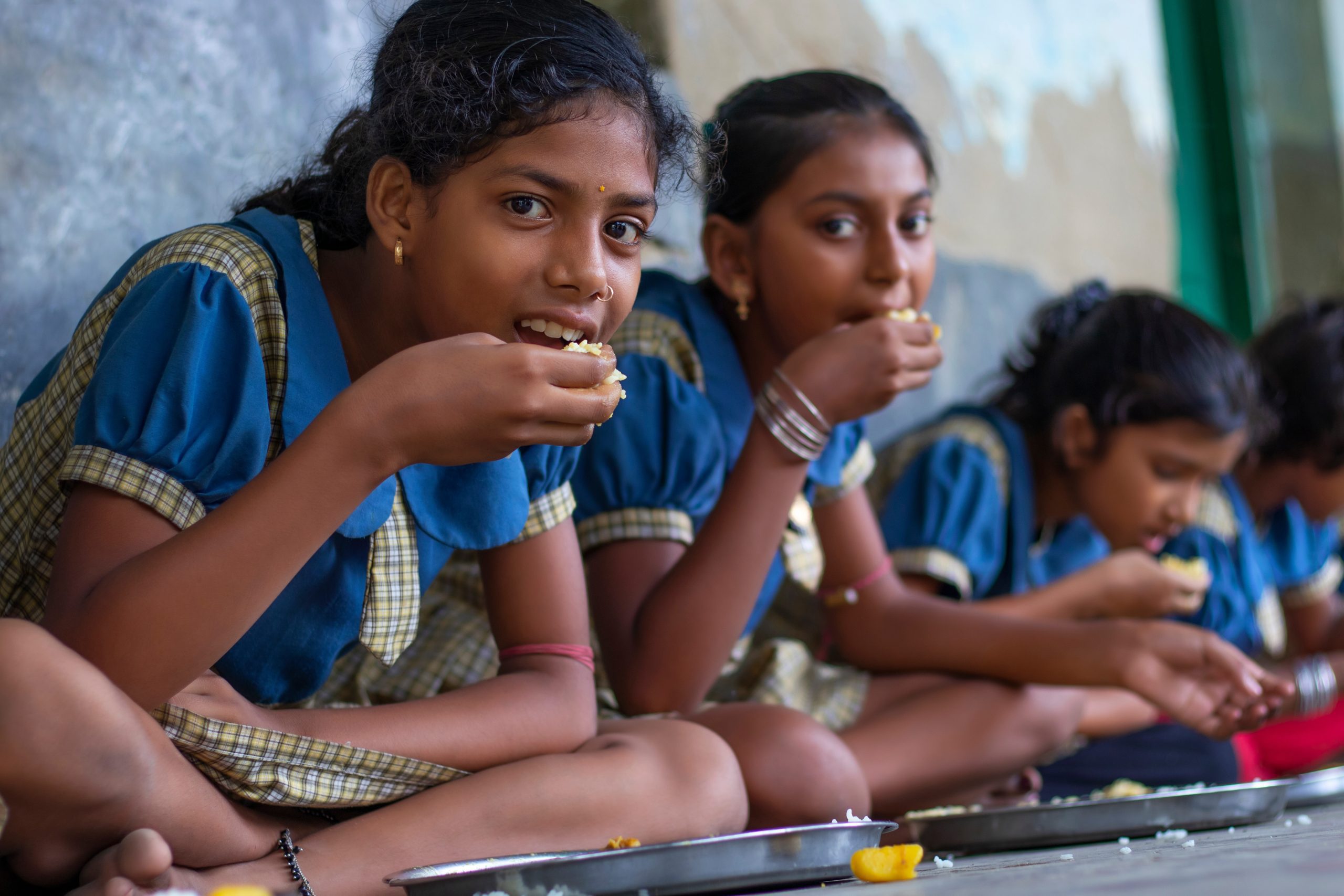Beyond Food Availability: Understanding Household Choices and Nutrition Outcomes in India